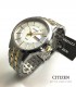 CITIZEN BF2018-52A ACERO